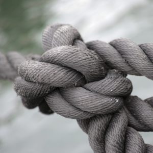 engin-akyurt-5aDlYurwc34-unsplash Stefanie Sahland