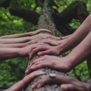 shane-rounce-DNkoNXQti3c-unsplash shane-rounce-DNkoNXQti3c-unsplash